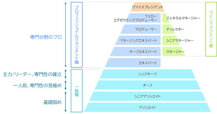 専門性を軸とした等級体系の図。一般職は下からアソシエイト、シニアアソシエイト、チーフ、シニアチーフの順。マネジメント層は一番上がヴァイスプレジデント(VP)となり、その下はプロフェッショナルマネジメント職とラインマネジメント職に分かれる。プロフェッショナルマネジメント職は下からエキスパート、チーフエキスパート、マネージングエキスパート、プロデューサー、フェロー(FL)/エグゼクティブプロデューサー(EP)がある。ラインマネジメント職は下からマネージャー、シニアマネージャー、ディレクター、ジェネラルマネージャー(GM)がある。